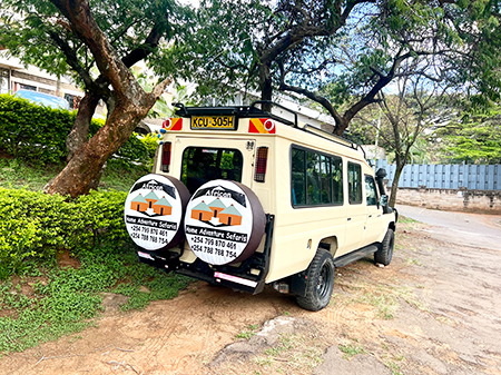 Tanzania Lodge Safaris Tanzania Lodge Safaris
