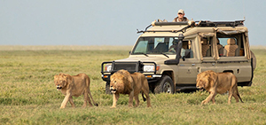 Africa Home Adventure