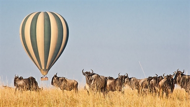Kenya Luxury Lodge safaris Kenya Luxury Lodge safaris