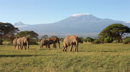 Enchoro Wildlife Camp
