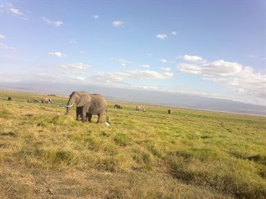 Tanzania Lodge Safaris Tanzania Lodge Safaris