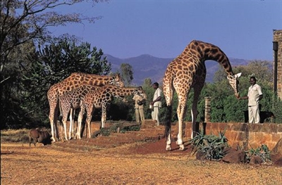 Nairobi Excursions Nairobi Excursions