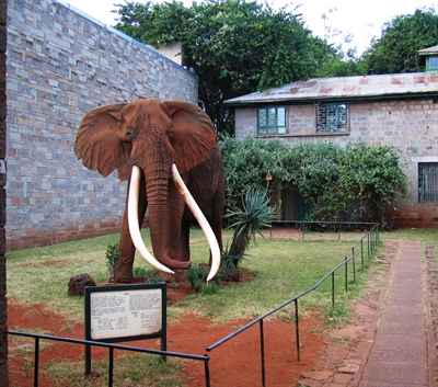 Nairobi Excursions Nairobi Excursions