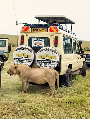 Tanzania Lodge Safaris Tanzania Lodge Safaris