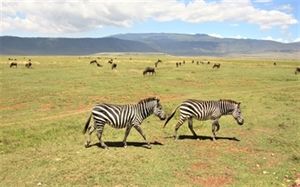 Africa Home Adventure